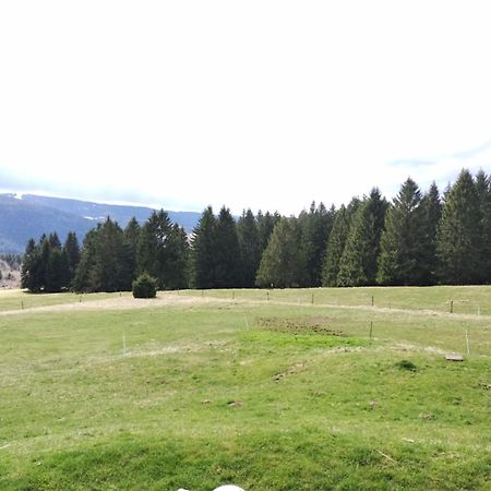 La Ferme Du Levant Gerardmer Bagian luar foto