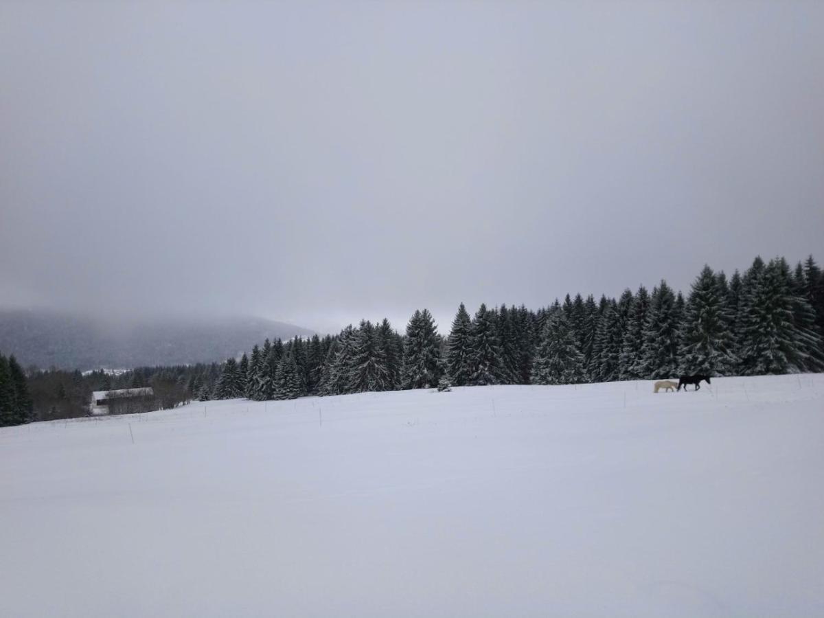 La Ferme Du Levant Gerardmer Bagian luar foto